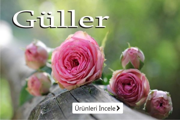 Kütahya çiçek siparişi, kütahya gül buketleri