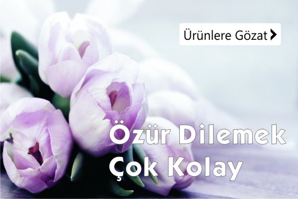 Özür dileme çiçekleri