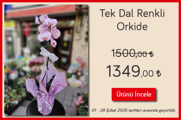 Tek Dal Renkli Orkide 01 - 28 Şubat 2026 tarihleri arası geçerli, Kütahya çiçekçi